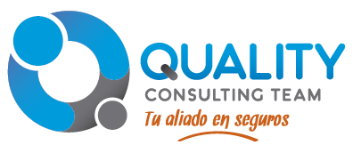 Quality Consulting Team